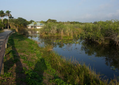 Anhinga Trail