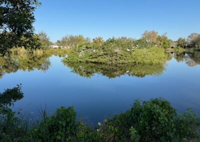 Venice Rookery