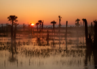 Ritch Grissom Memorial Wetlands – Viera