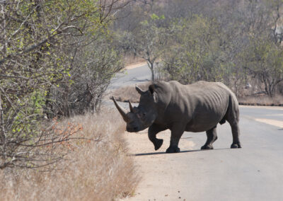 Kruger National Park