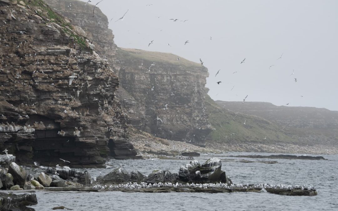 Un viatge a Varanger al juny