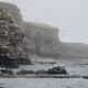 Un viatge a Varanger al juny